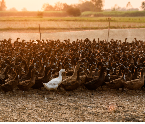 Stand Out From The Crowd | Trusted Marketing